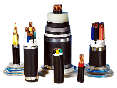  Power Cable ( Power Cable)