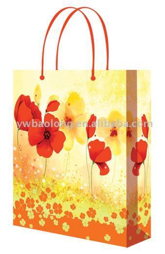 Shopping Bag (Shopping Bag)