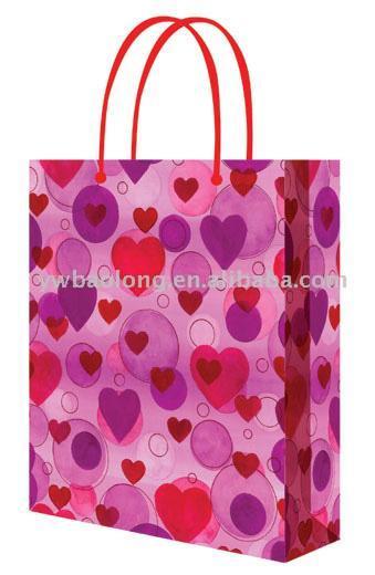  PP & Paper Shopping Bag ( PP & Paper Shopping Bag)