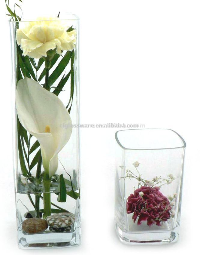  Glass Vases (Стеклянные вазы)