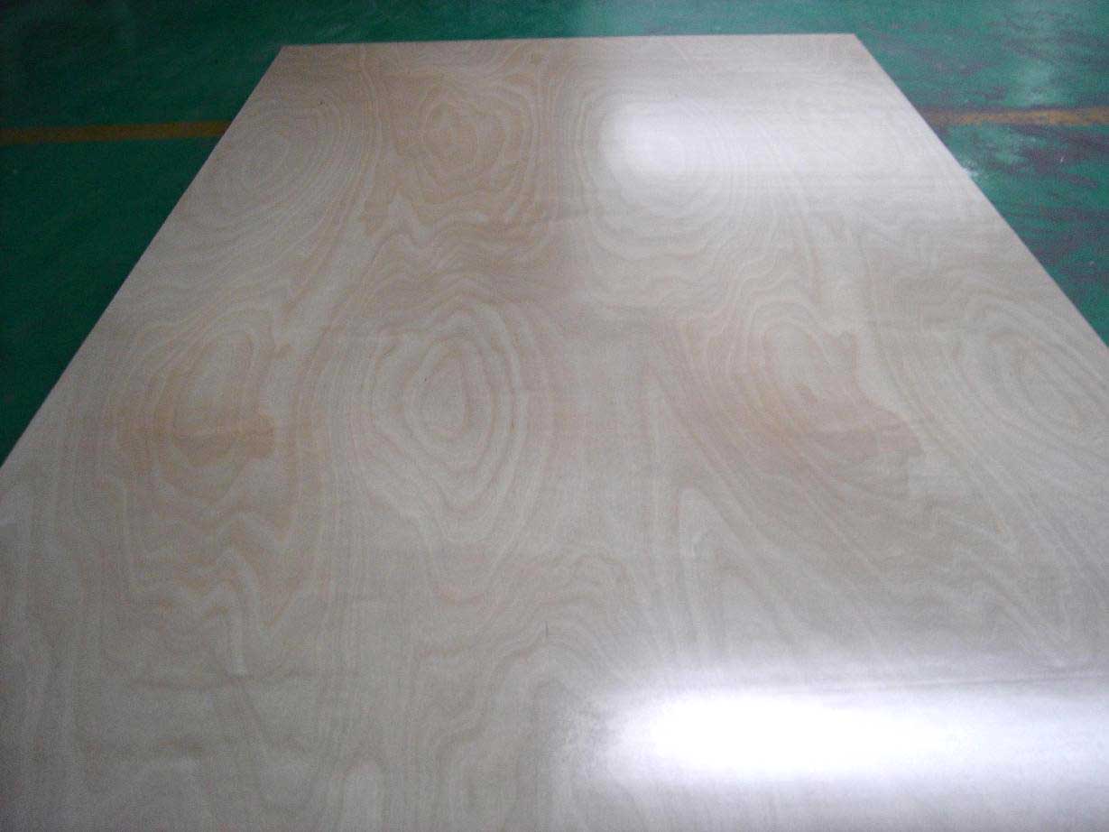  UV Coated Plywood (Coated UV Plywood)