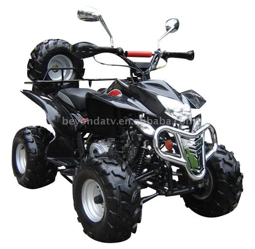  CY110LD ATV (CY110LD ATV)