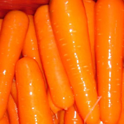  Carrot ( Carrot)