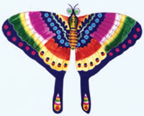 Butterfly Kite (Butterfly Kite)