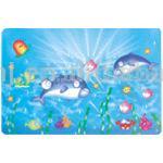  PP Table Mat (PP Table Mat)