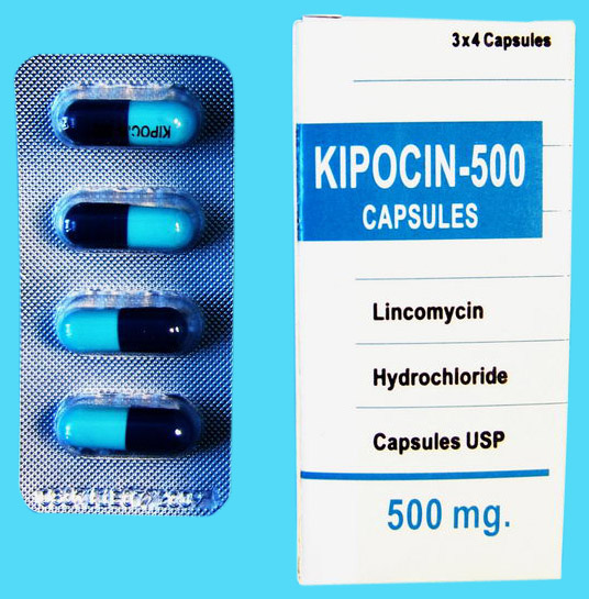  Lincomycin Capsule (Lincomycine Capsule)