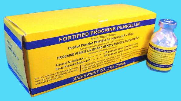  Fortified Procaine Penicillin for Injection (Укрепленные Прокаин пенициллин для инъекций)