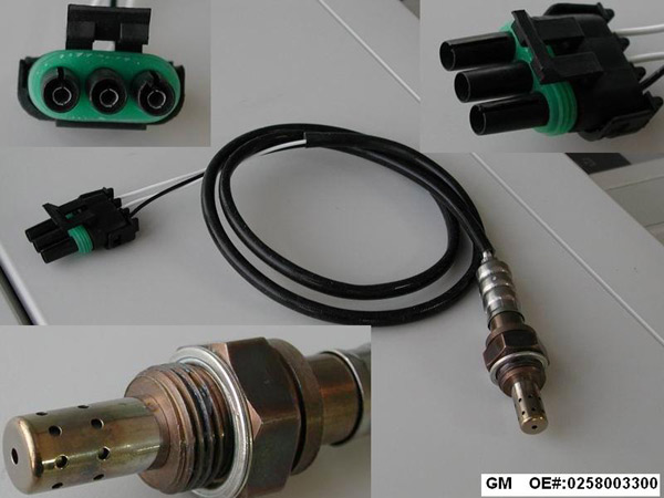  Oxygen Sensor (Capteur d`oxygène)