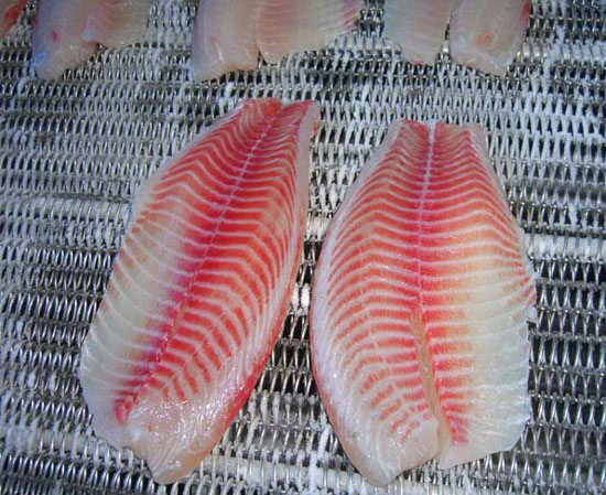  Tilapia Fillets (Tilapia-Filets)