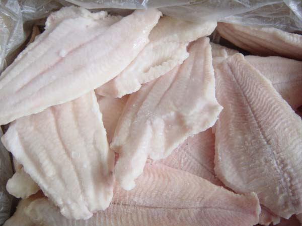  Channel Catfish Fillets