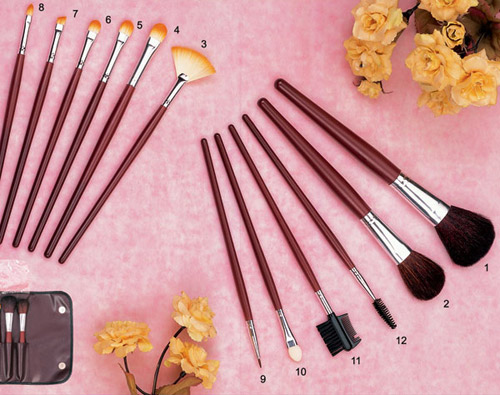  Cosmetic Brush Set (Cosmetic Brush Set)