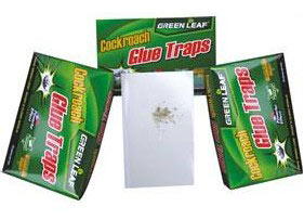  Cockroach Glue Trap