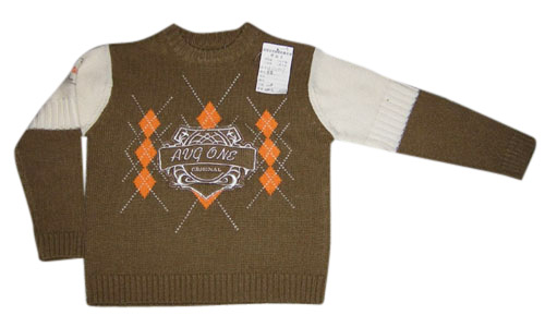 Boy`s Sweater (Boy`s Sweater)