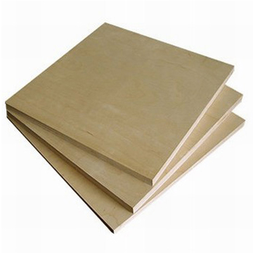 Birch Plywood (Birch Plywood)