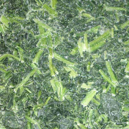  Frozen / IQF Spinach ( Frozen / IQF Spinach)