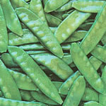  Frozen Pea Pods ( Frozen Pea Pods)