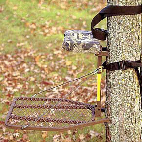  Tree Stand (Tree Stand)