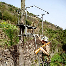  Hunting Tree Stand (Охота древостоя)