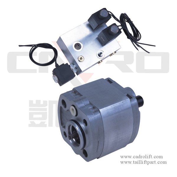  Hydraulic DC Motor Pump and Insert Valves ( Hydraulic DC Motor Pump and Insert Valves)