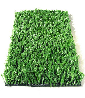  Synthetic Soccer Grass (De soccer en gazon synthétique)