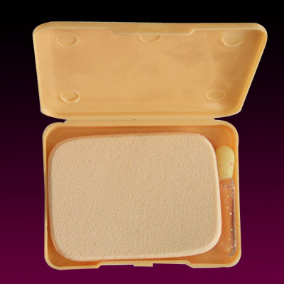  Powder Sponge