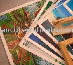  Inkjet Canvas for Giclee Printing (Jet d`encre sur toile pour Giclee Printing)