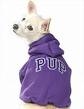  Pet Clothes ( Pet Clothes)