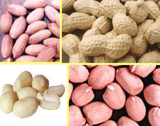  Peanuts Kernel ( Peanuts Kernel)