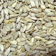  Sunflower Kernel