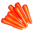  Carrot ( Carrot)