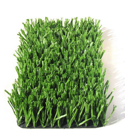  Synthetic Soccer Grass (De soccer en gazon synthétique)