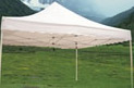  Foldable Tent of Intensified Type (Tente pliable de type intensif)