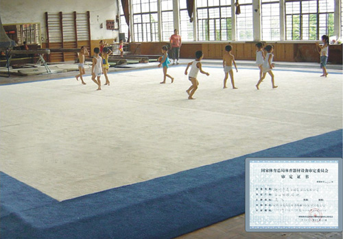  Exercise Floor ( Exercise Floor)