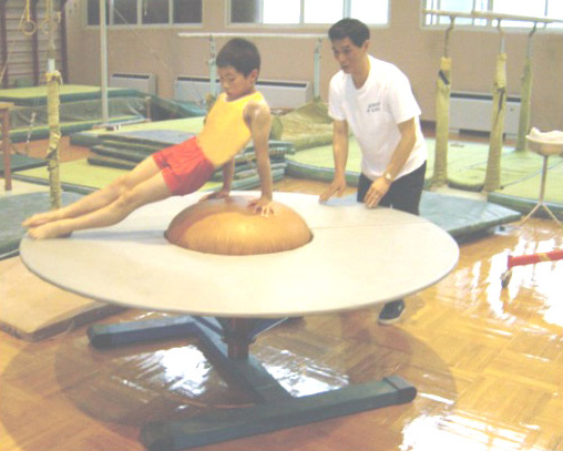  Rolling Mushroom Gymnastic Product ( Rolling Mushroom Gymnastic Product)