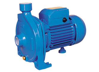  Centrifugal Pump (Zentrifugalpumpe)