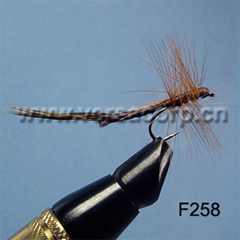  Dry Fly (Dry Fly)