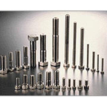 Stainless Steel Bolt (Stainless Steel Bolt)