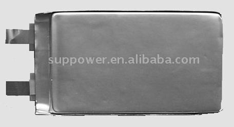  Lithium-ion Polymer Battery and Battery Packs (Lithium-Ion Polymer Battery and Battery Packs)