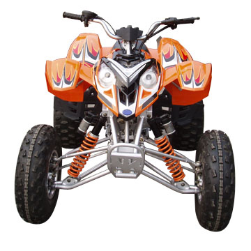  300cc ATV (300cc ATV)