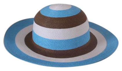  100% Paper Straw Stripe Hat (100% бумаги Солома Stripe Hat)