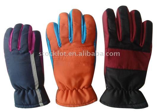  Stock Ski Gloves (Stock gants de ski)