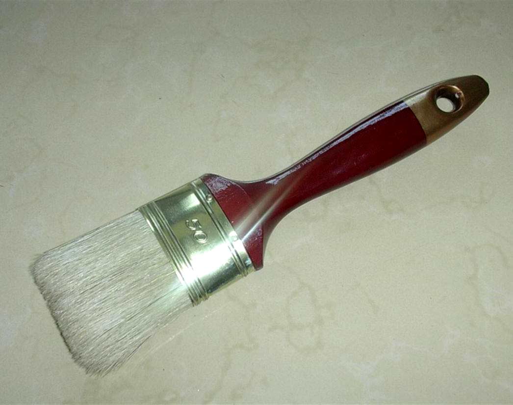  Paint Brush ( Paint Brush)