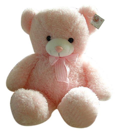  Plush Toys (Jouets en peluche)