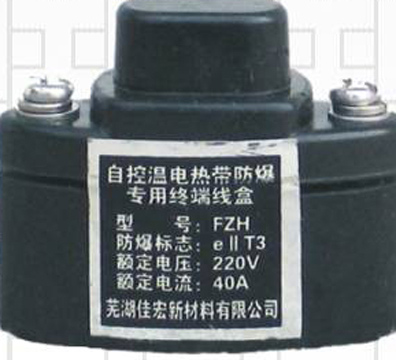  Junction Box of Explosion-Proof Terminal ( Junction Box of Explosion-Proof Terminal)