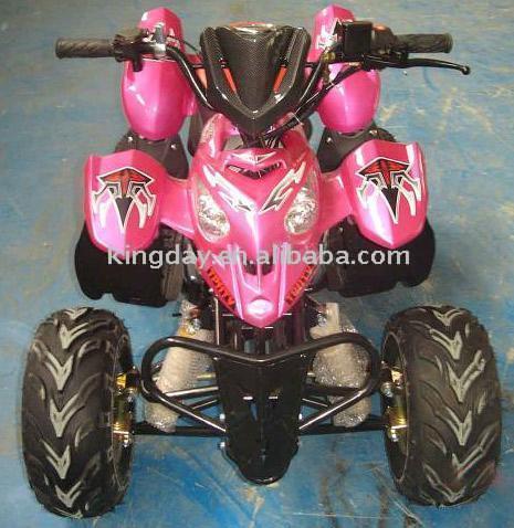  110cc Popular Design ATV (110SS-2) ( 110cc Popular Design ATV (110SS-2))