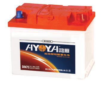  Dry Charged Lead Acid Battery (Dry Charged Batterie Acide de plomb)