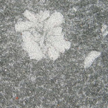  God`s Flower Granite ( God`s Flower Granite)