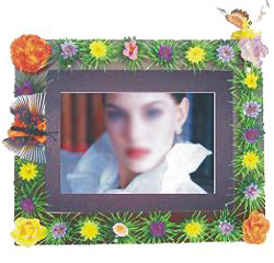  Color Digital Photo Frame ( Color Digital Photo Frame)