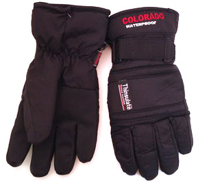  Ski Glove (Gants de ski)