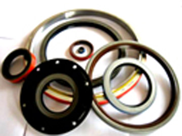  Oil Seals (Oil Seals)